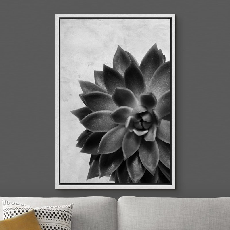 Gros plan sur une plante grasse en noir et blanc en noir et blanc, Blanc, H 24 po x l 16 po