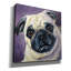 «Dogs Pug» par Lindsay Kivi, art mural sur toile-777380249