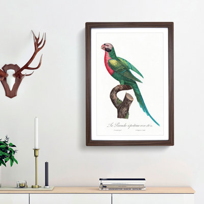 Red-Breasted Parakeet by F. Levaillant - Picture Frame Painting Print
