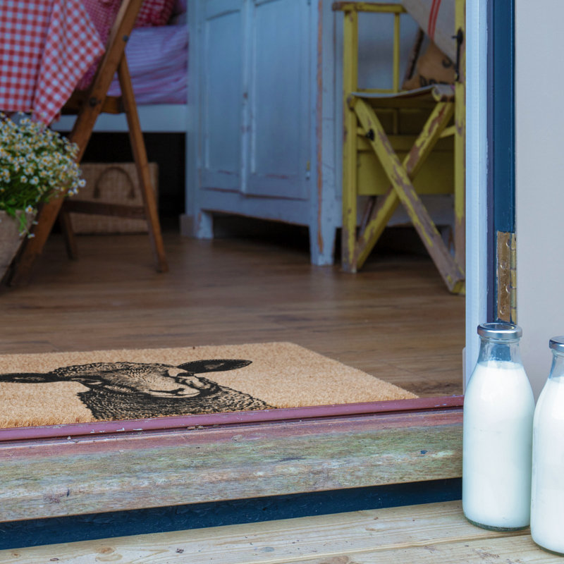 Non-Slip Doormat, 40cm W x 60cm L