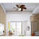 Jerseyville 30'' Ceiling Fan with Light Kit