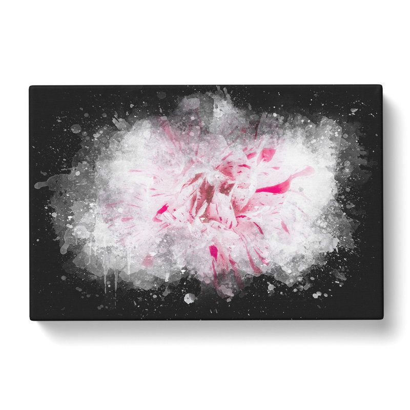 Striking White & Pink Carnation - Wrapped Canvas, 35cm H x 50cm W x 3cm D
