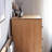 Simple All Solid Wood Grain Accent Chest