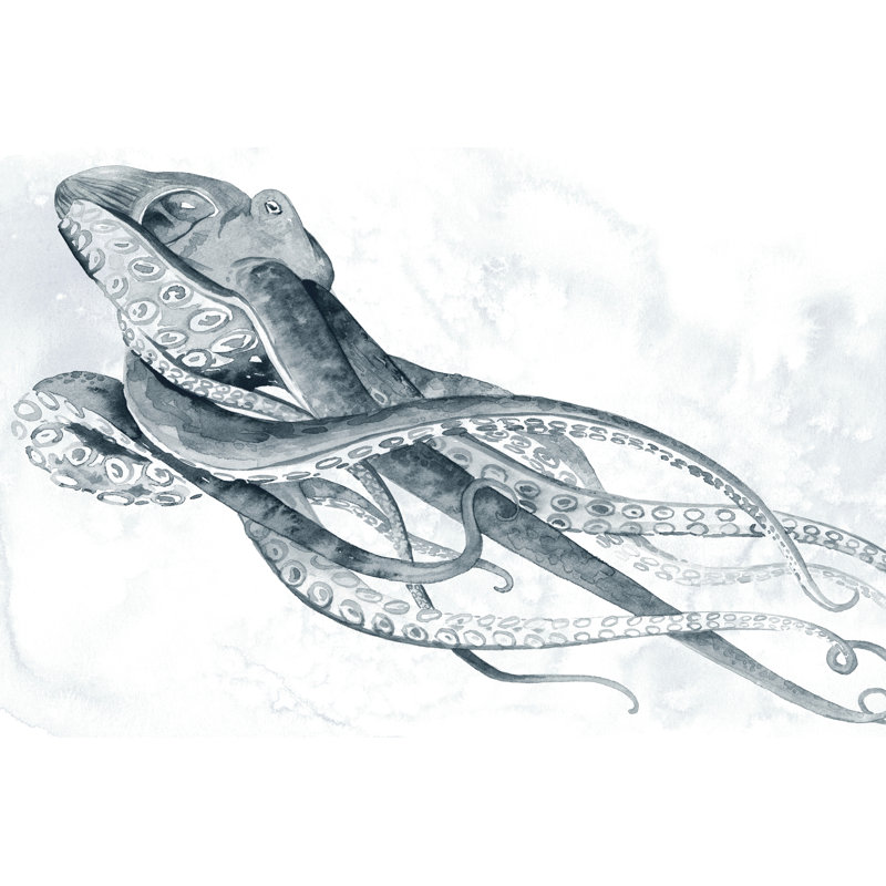 Drifting Tentacles II by Grace Popp - Wrapped Canvas Print, 30.48cm H x 45.72cm W