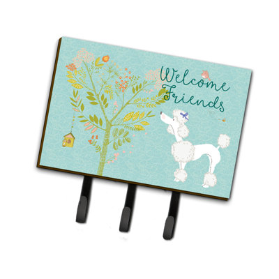 Metal Wall Organizer with Key Hooks