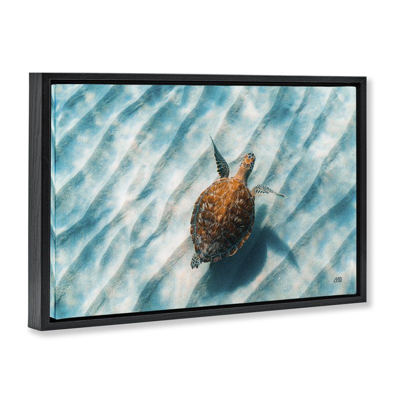 «Sandbar Sea Turtle», toile flottante encadrée par Max Blakesberg Studios, Cadre flottant noir de jais, H 17 po x l 25 po