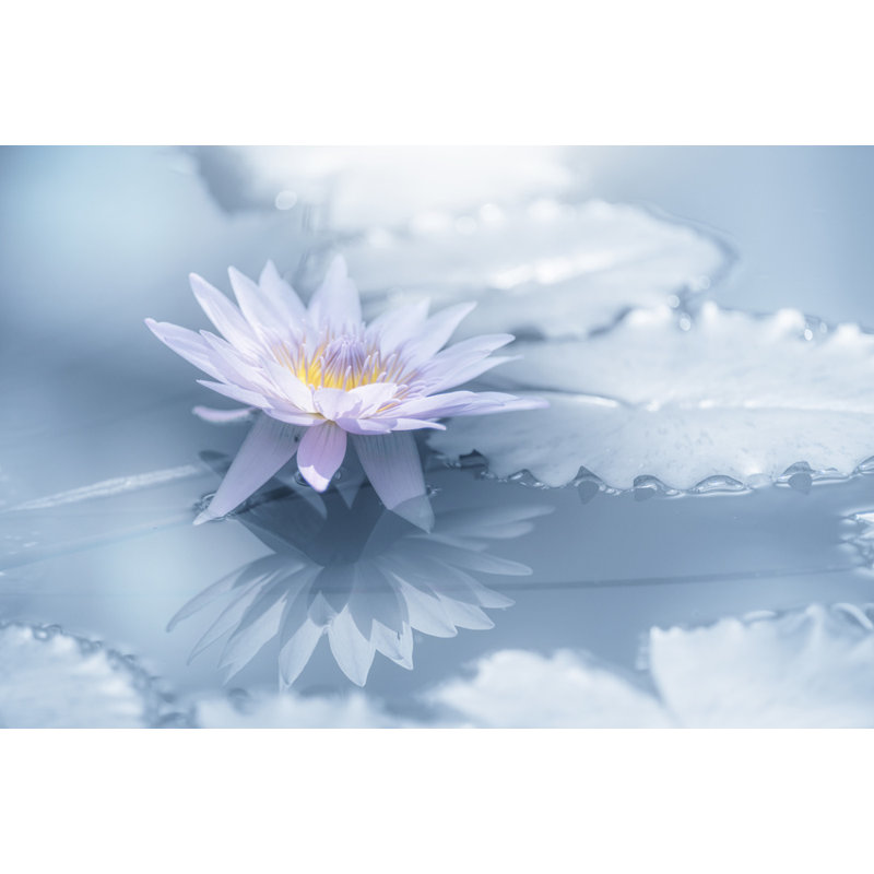 Wrapped Canvas Print, 81.28 cm H x 121.92 cm W