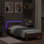 17 Stories Bed Frame With Headboard And LED 