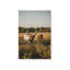 «Golden Hour Graze» par Dakota Diener, reproduction d'art-133720343-133720346-133720335