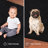 Modern Plush Pet and Kids Friendly Solid Color Black Area Rugs, Stain & Fade Resistance, Perfect for Living Room, Dining Room, Bedroom, Playroom and Kidsroom, Event, Wedding, Westcliffe, Amberdawn Binded Rug-56522850