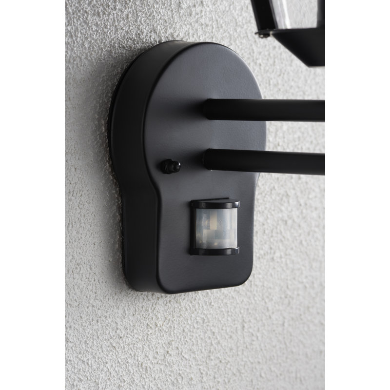 Nellie 38cm H Outdoor Wall Lantern, Matte Black
