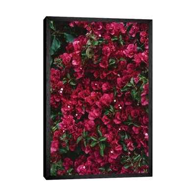 Carmel Blooms by Bethany Young - Print on Canvas