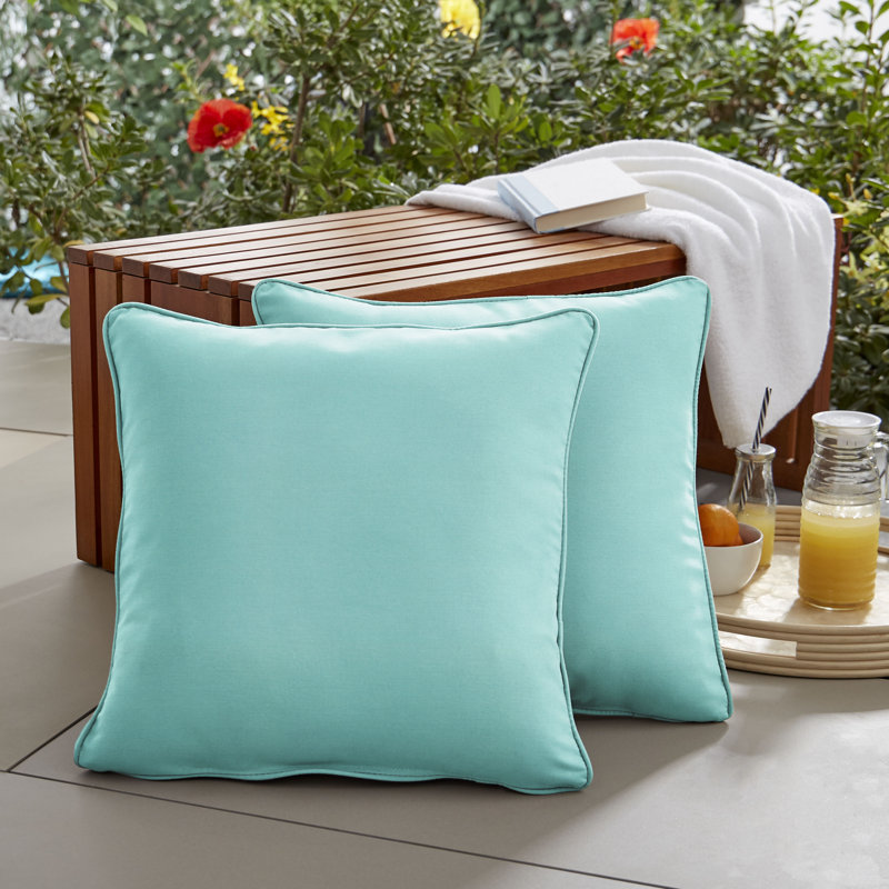 Erika Outdoor Reversible Throw Pillow, 20"H x 20"W, Canvas Aruba