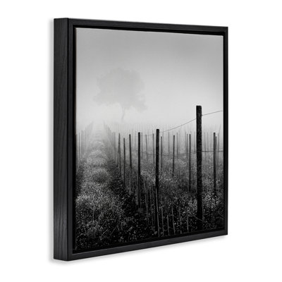 «Vineyard at Dawn» par Chip Forelli