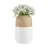 Prader Contemporary Two Tone Cylindrical Tabletop Vase - White And Beech