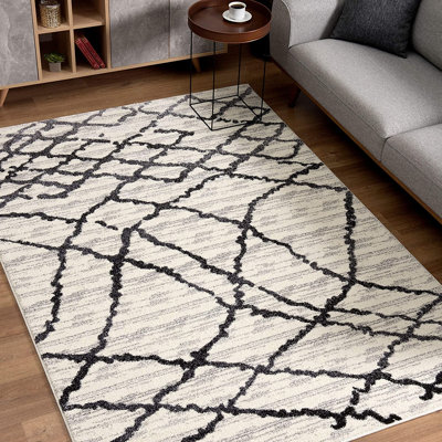Petrey Moroccan Indoor Rug