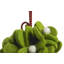 Mistletoe Ball Holiday Shaped Ornament
