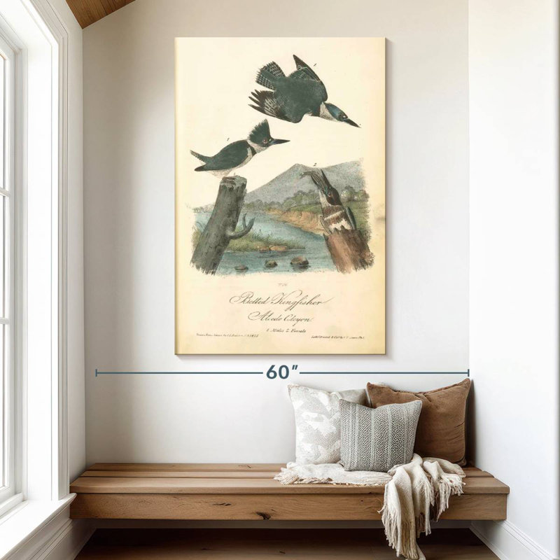 Brampt Belted Kingfisher, 51" H x 34" W