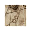 Nautical Aspect V Print by Michael Kahn-26932963-26932958