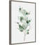 "Tender Sprout I" par Eva watts, reproduction d’art sur toile tendue-1135809848