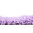 Angeline Indoor Rug-777098656-754092640