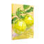 «Disco Lemon Fruit», ensemble de 1 reproduction d'art sur toile tendue sur toile-1718970780