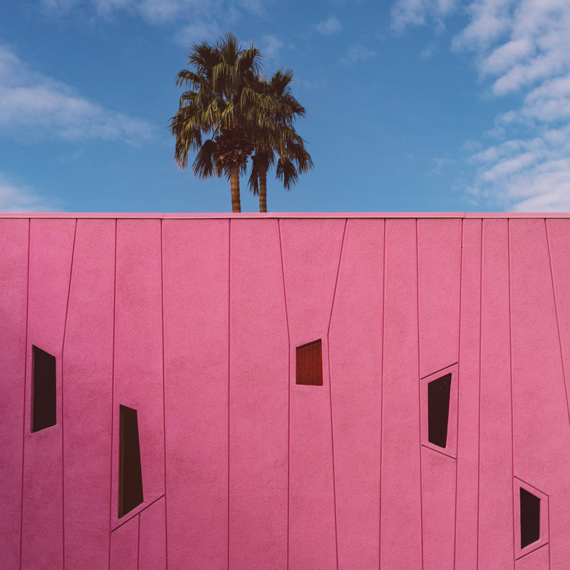 Palm Springs Vibes III, Argent, H 20 po x l 20 po