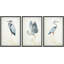 Heron, grue, oiseaux, décor nautique - ensemble de 3 reproductions d'art sur toile encadrées-99077875-99077878
