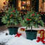1.8' H Lighted Artificial Pine Christmas Tree