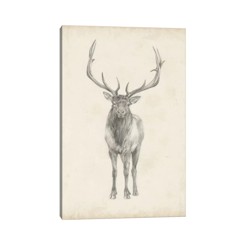 Elk Study by Ethan Harper - Wrapped Canvas Print, 101.6 cm H x 66.04 cm W x 1.91 cm D