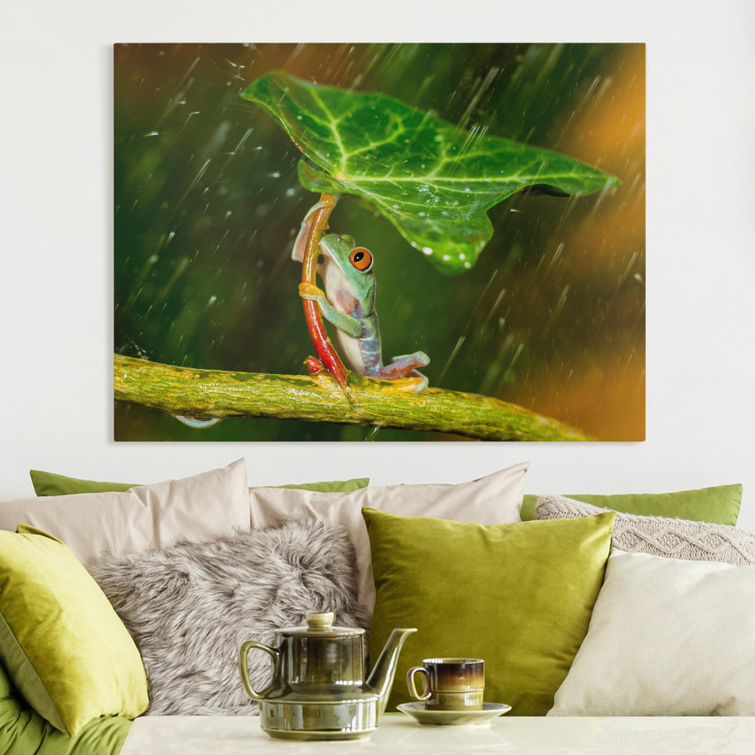 Leinwandbild Ein Frosch im Regen