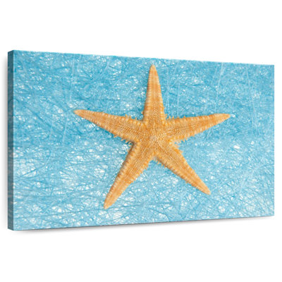 Aletra Unique Starfish