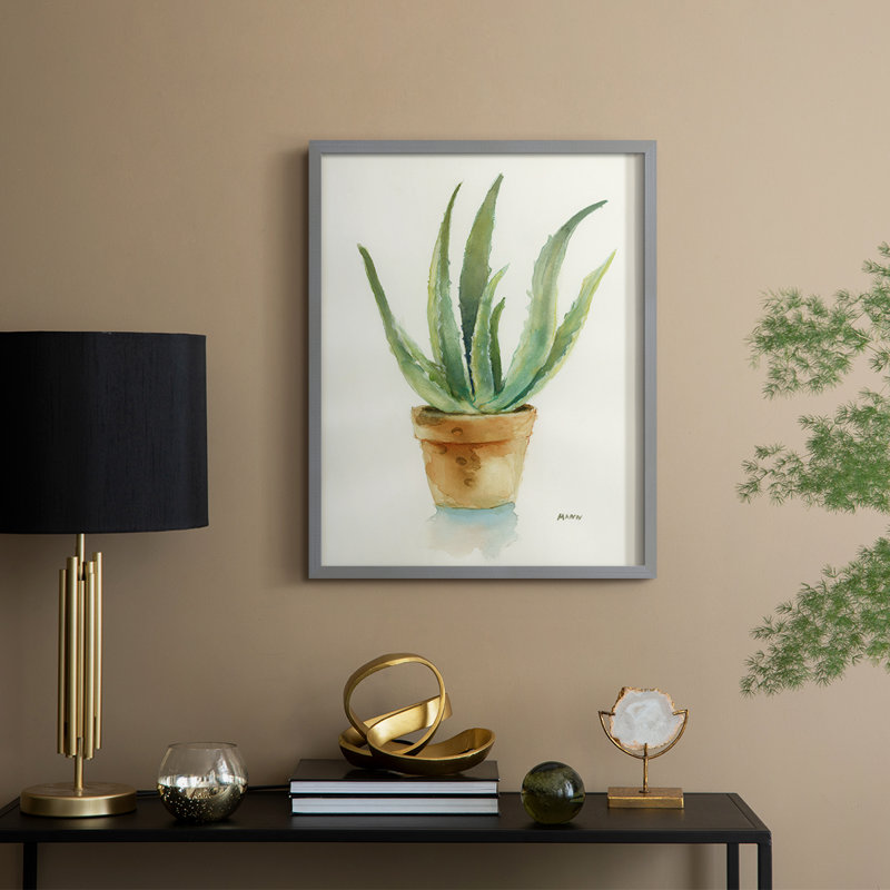 Succulent IV, reproduction encadrée - bois massif, Gris, H 11 po x l 9 po