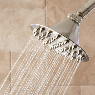 Cambridge 1.8 GPM Single Function Shower Head