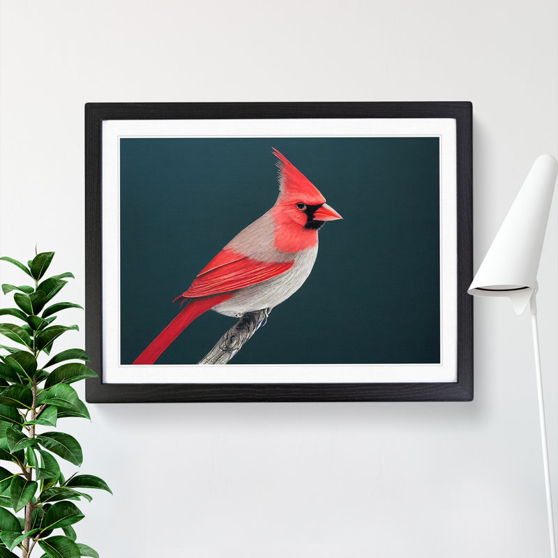 Cardinal Bird Vol.1 - Single Picture Frame Print, Black Framed, 25cm H x 34cm W x 2cm D