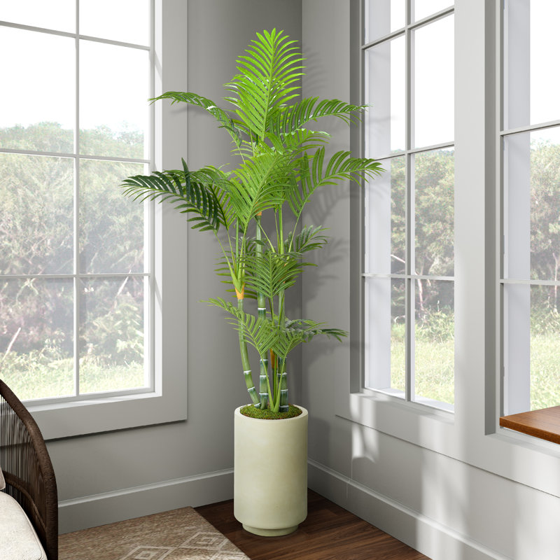 Palmier vert Areca dans un pot à fleurs moyen Rainey