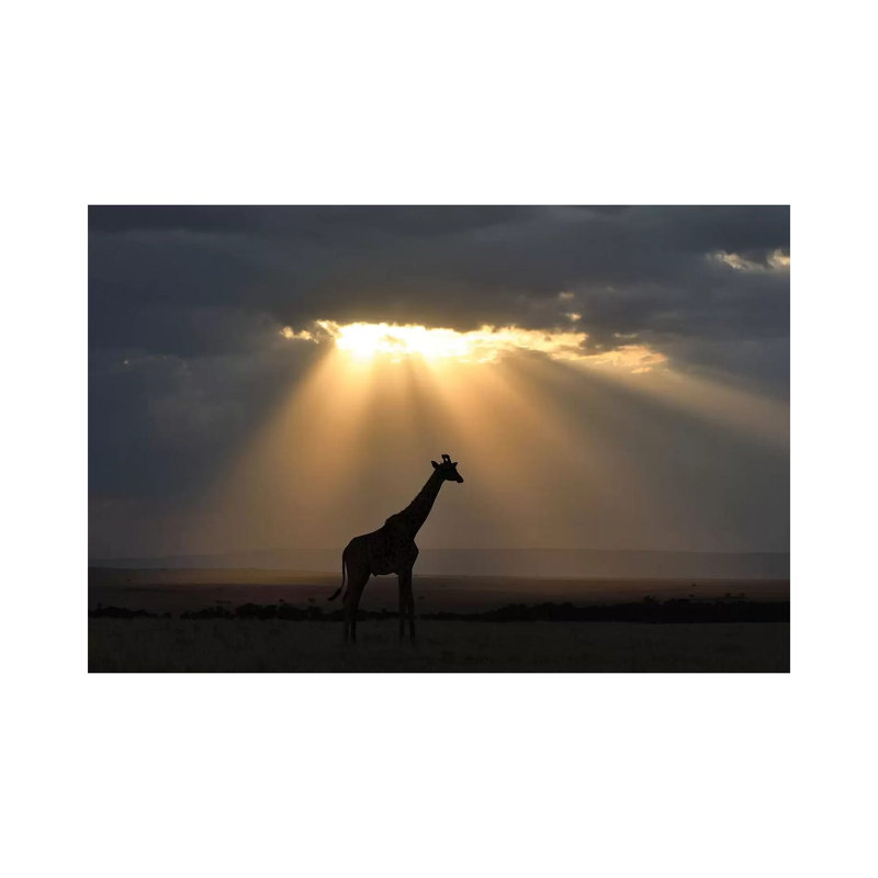Sunset With Giraffe by Elmar Weiss - Wrapped Canvas Gallery-Wrapped Canvas Giclée, 66.04 cm H x 45.72 cm W