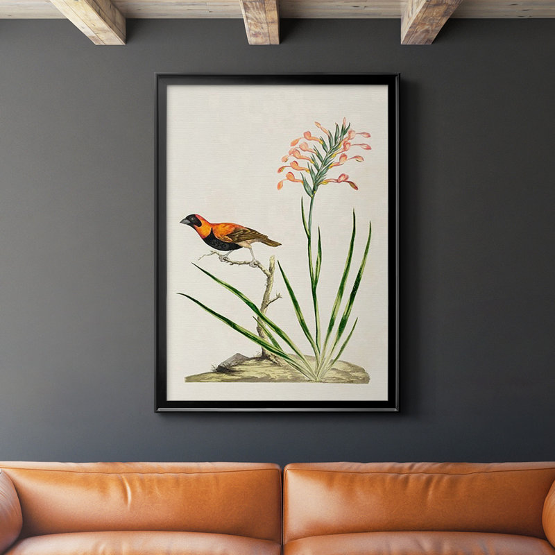 Bird in Habitat III, reproduction encadrée de qualité supérieure - prête à être accrochée, Noir