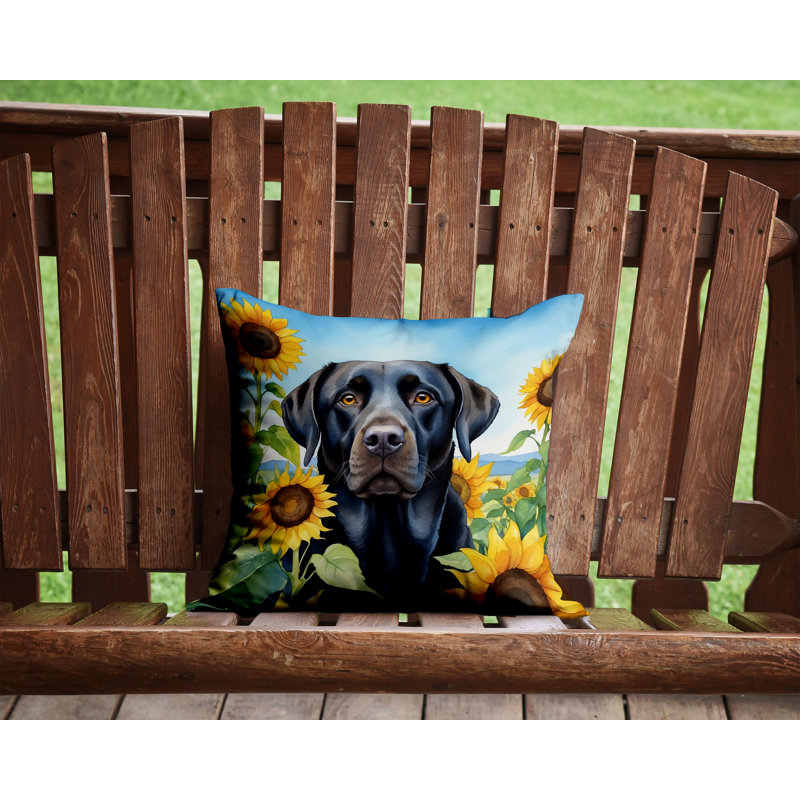 Coussin décoratif intérieur / extérieur Autre / Sans motif, H 14 po x l 14 po
