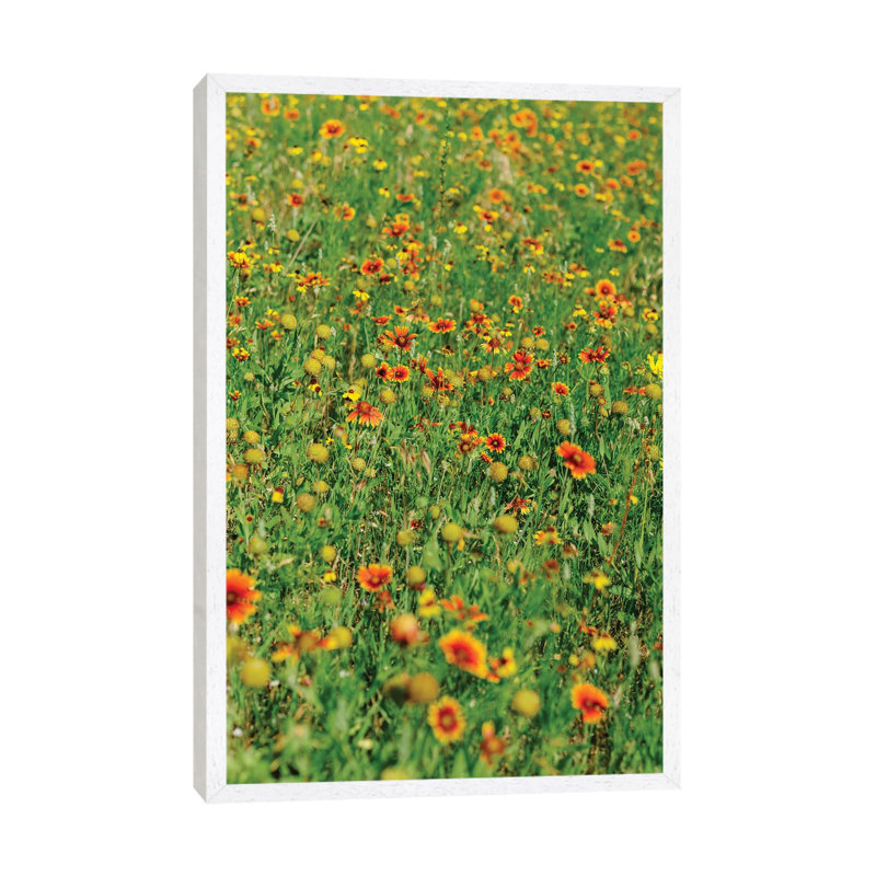 Indian Blanket Wildflowers II 1 Piece Wall Art on Canvas, 66.04cm H x 45.72cm W x 3.81cm D, White Framed