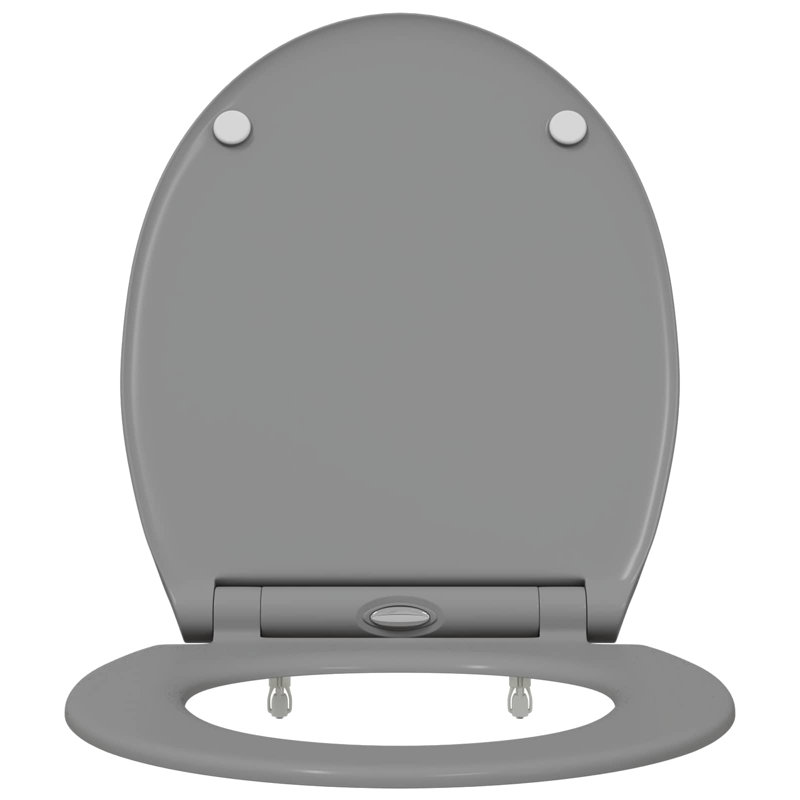 Anthracite Plastic Standard Adjustable Armrests Toilet Seat, Grey
