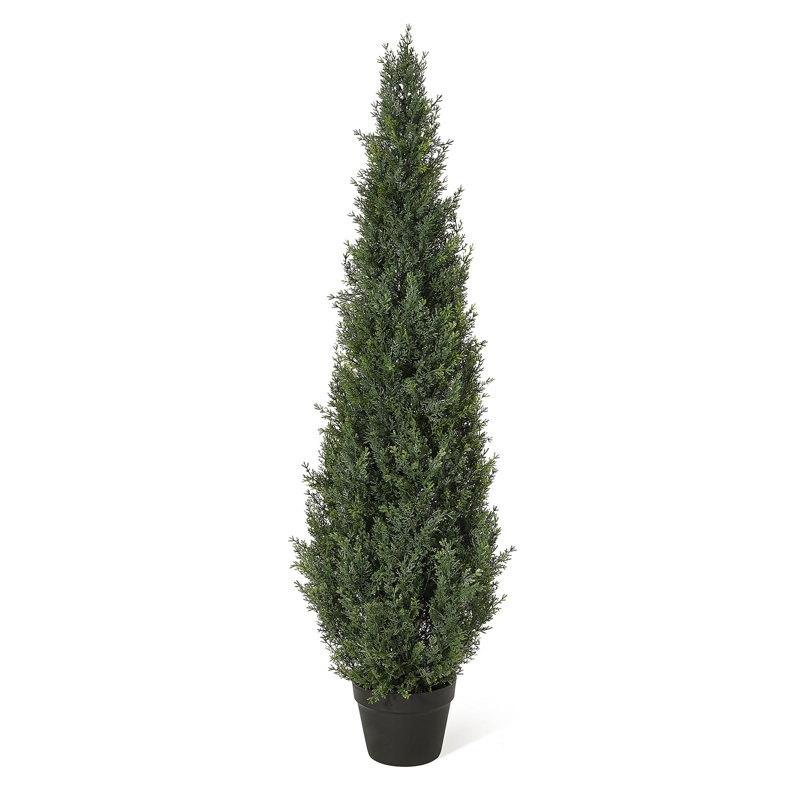 Plant, 150cm H x 35cm W x 35cm D, Green
