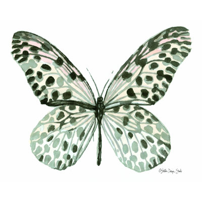 " Butterfly 3 "