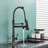 Augusts tanhaung-8 Pull Down Kitchen Faucet-80830389