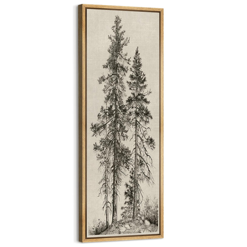Vintage Pine Tree Drawing Classic Country Rustic Artwork - Extra Large Framed Wall Art Canvas Print, 60" H x 20" W