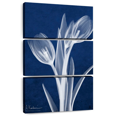 Harnek indigo tulipes I