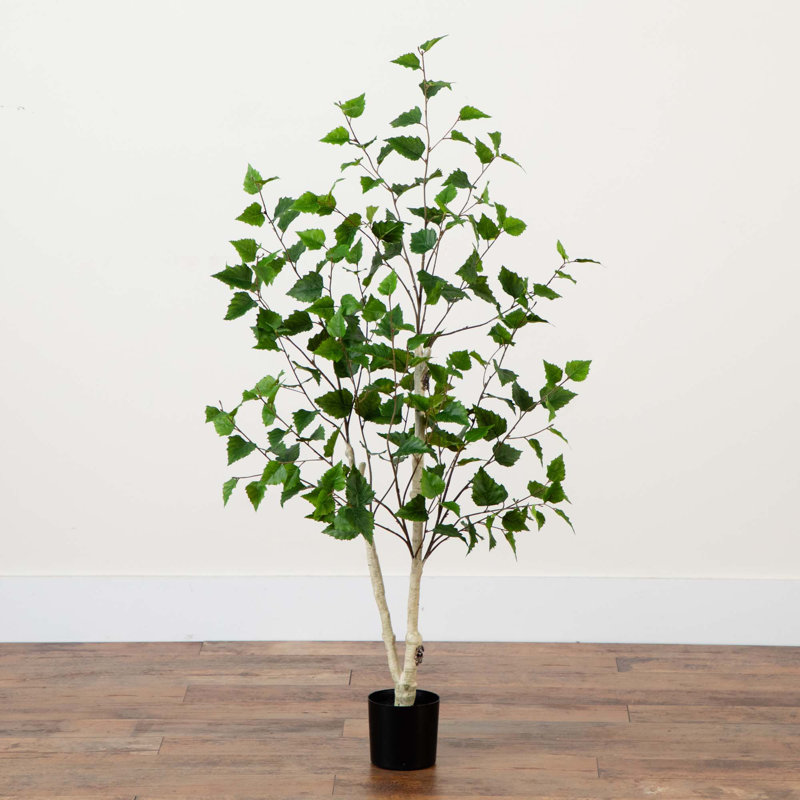Faux bouleau en pot, 48"