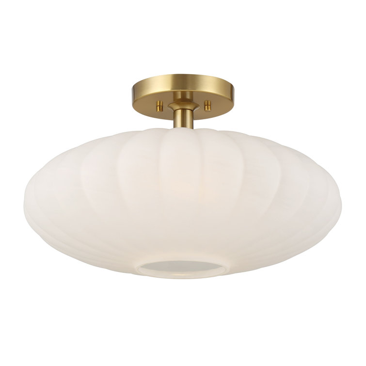 1-Light Ceiling Light