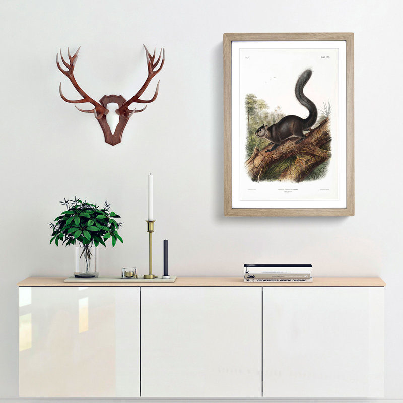 Dusky Squirrel by J.W. Audubon - Picture Frame Painting Print, 36cm H x 27cm W x 2cm D, Oak Framed