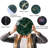Glass Wall Clock Silent Non Ticking Wall Clock- 12 Inch Quality Quartz Battery Operated Round Easy To Read Home/Office/Classroom/School Clock (Dark Green)